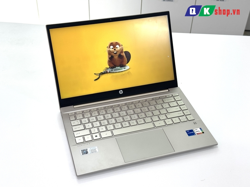 Laptop HP Pavilion 14 - DV2073TU Core I5 - 1235U / RAM 8GB / SSD 512GB PCIE / 14.0 FHD