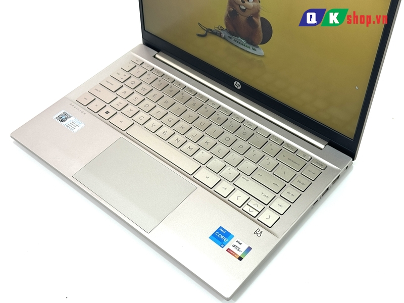 Laptop HP Pavilion 14 - DV2073TU Core I5 - 1235U / RAM 8GB / SSD 512GB PCIE / 14.0 FHD