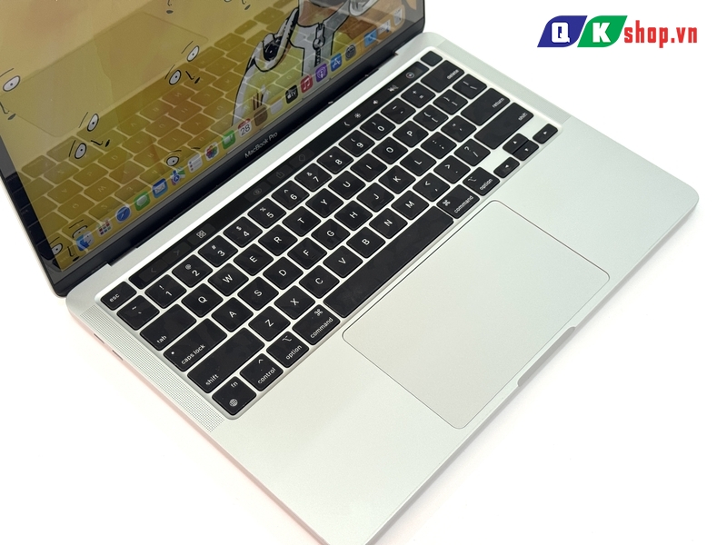 MacBook Pro M1 2020 / Ram 8 GB / SSD 512 GB / 13.3 " Retina ( 2562x1600)